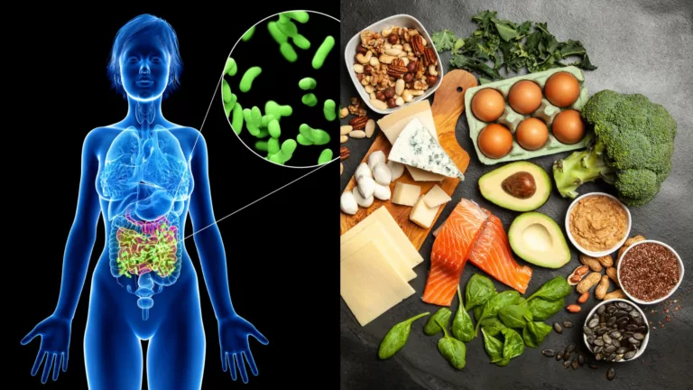 The Keto Diet: Uncovering The Influence Of Keto Diet On Gut Health
